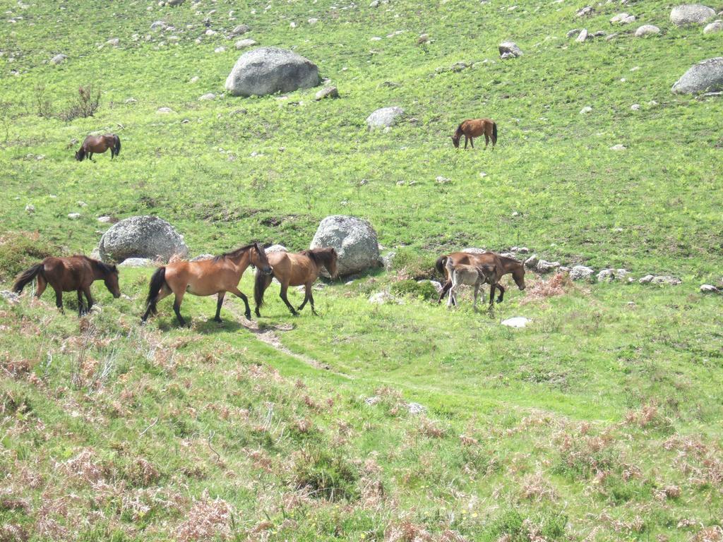 Vakantiehuis Casa Sulfato Campo do Geres